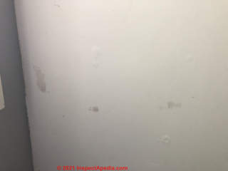 Diagnose source of gray spots on ceiling (C) InspectApedia.com Claire