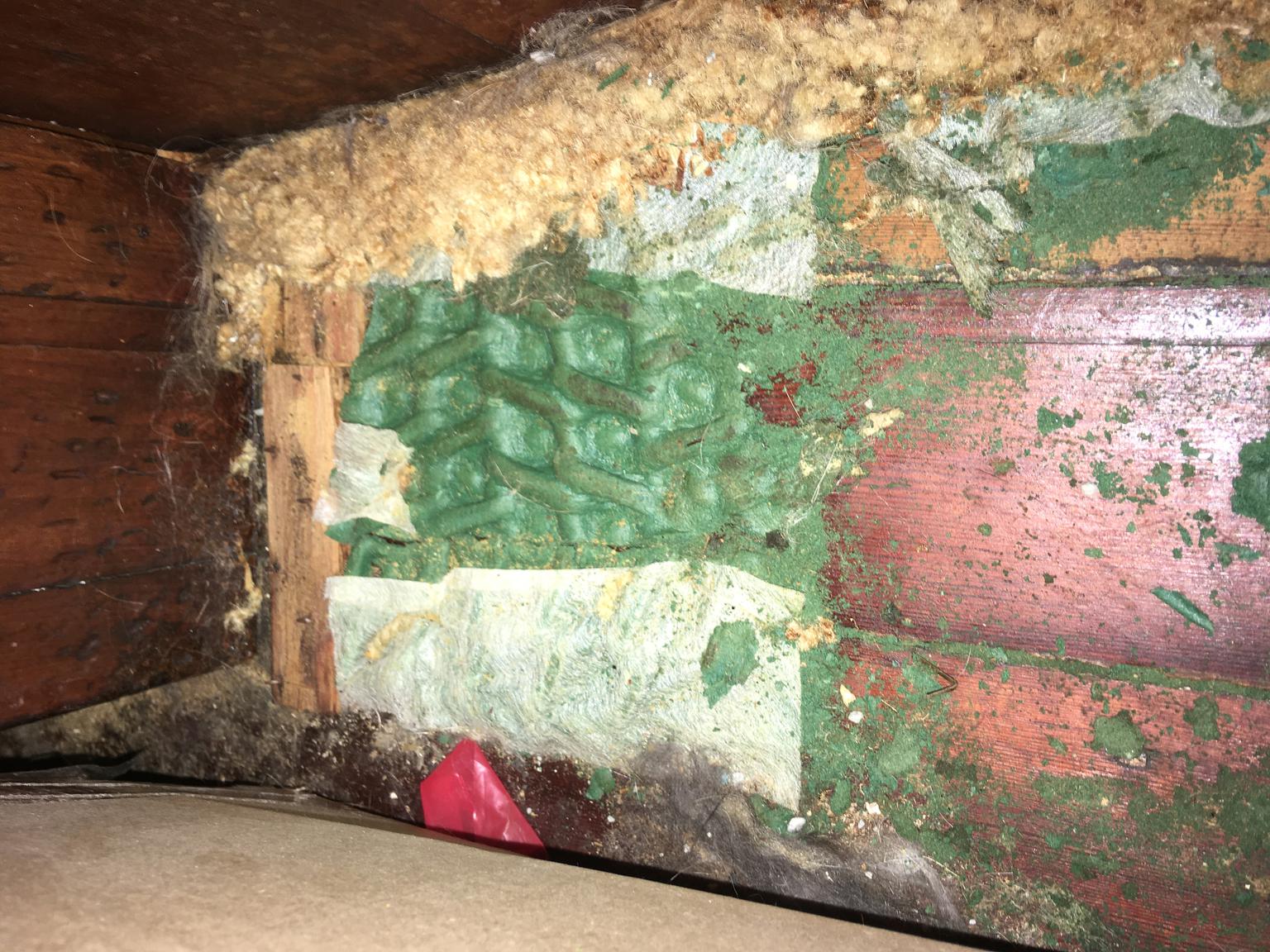 Old green carpet padding deteriorated - cat pee (C) InspectApedia.com Cat