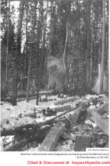 Hand hewn railroad ties from lodgepole pine, Mill Creek area of the Unita Mountains ca 1912 -1913, U.S. Forest Service, discussed in Wooden Beds for Wooden Heads by Merrit - cited & discussed at InspectApedia.com
  