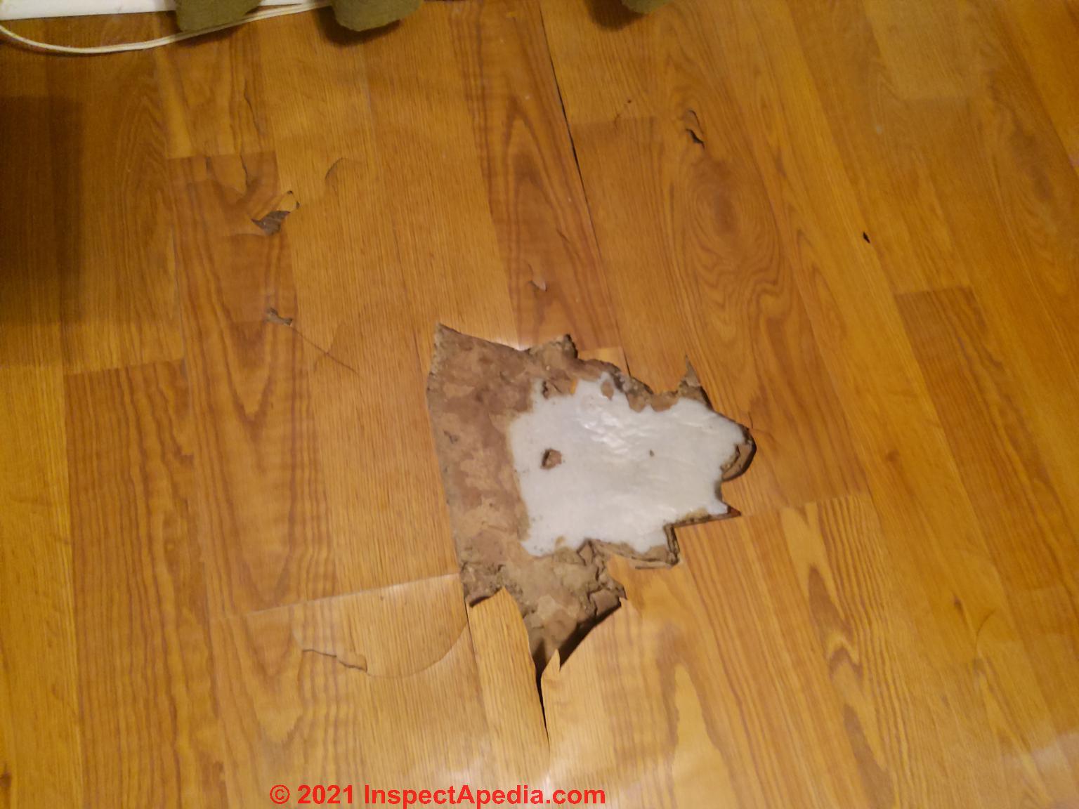 taktik udskiftelig parkere Laminate Flooring Damage, Diagnosis, Repair