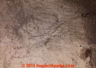 Horsehair in or on plaster (C) InspectApedia.com PH