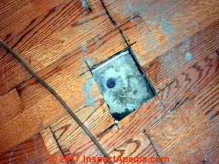 Saw cuts into a damaged laminate wood flooring (C) Daniel Friedman