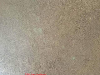 Light green stains on carpet (C) InspectApedia.com Belinda
