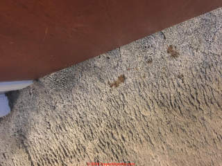 Little brown stains on carpet (C) InspectApedia.com Mary