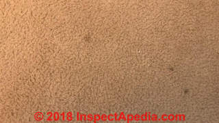 Spots on carpeting can be diagnosed (C) InspectApedia.com  Anon