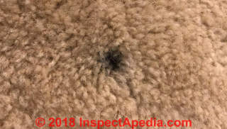 Small dark Spots on carpeting can be diagnosed (C) InspectApedia.com  Anon