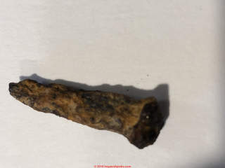 Old nail from Oshkosh Wisconsin (C) InspectApedia.com J.S. 