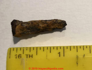 Old nail from Oshkosh Wisconsin (C) InspectApedia.com J.S. 