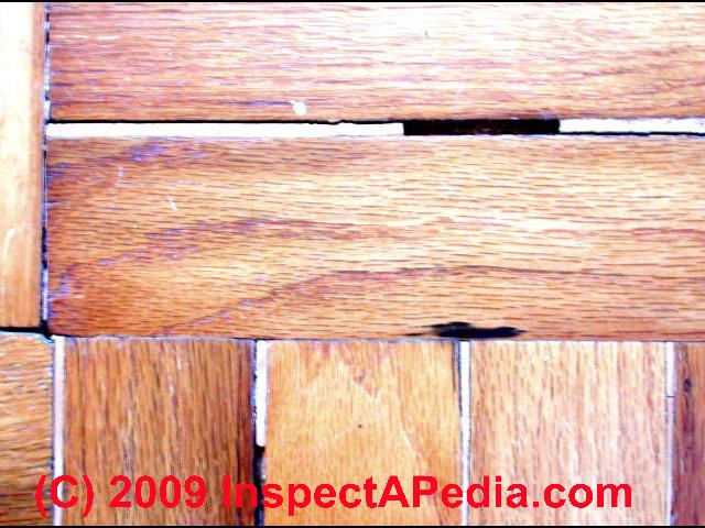 Wood Floor Types Damage Diagnosis Repair Damaged Wood Floors