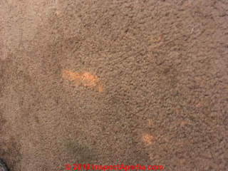 Light spots on carpet - cause & cure (C) InspectApedia.com