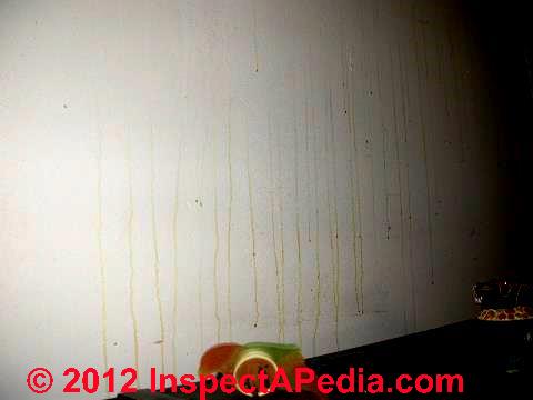 Indoor Stain Diagnosis Human Causes