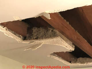 Rock lath plaster ceiling in a 1962 home (C) InspectApedia.com  KayK