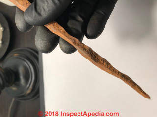Rose-headed hand wrought nail from Bronx NY coast (C) Inspectapedia.com Shaun M.