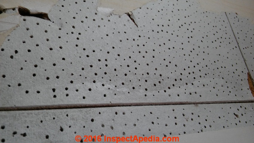 Easy methods to Acoustic Ceiling Tiles Pdf