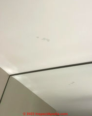 sticky spots on bathroom ceiling (C) InspectApedia.com Nick
