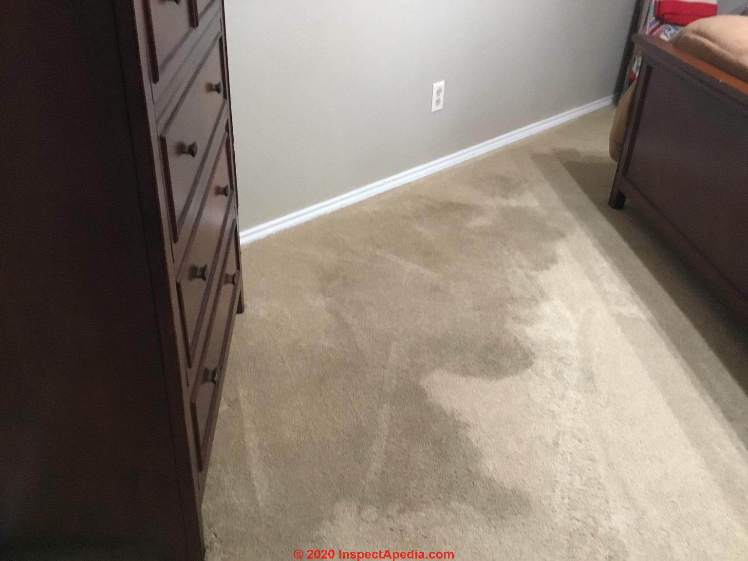 What Causes Yellow Stains On Carpet At Sandra Moody Blog