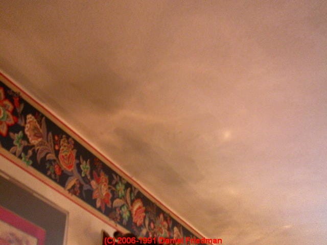 Dark Ceiling Stains How To Recognize Diagnose Thermal Tracking