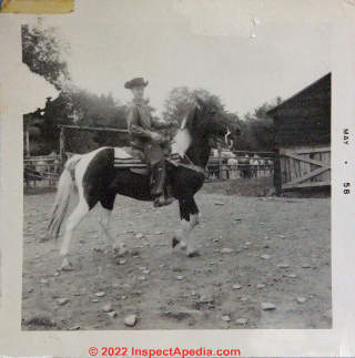 Daniel Friedman at Tumbleweed Ranch, Westkill, Greene County New York, 1956 (C) DJF InspectApedia.com