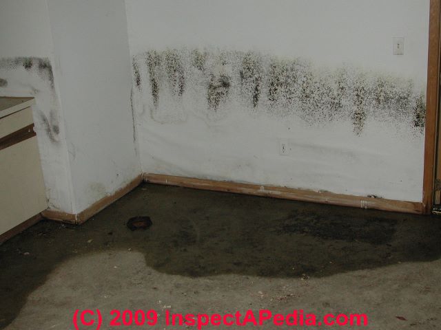 Fix Wet Basement : How To Fix A Wet Basement Family Waterproofing - Maybe you would like to learn more about one of these?