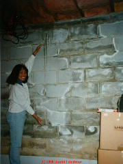 Moisture stains on crawl space walls (C) Daniel Friedman