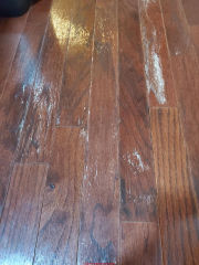 White stains on wood flooring (C) InspectApedia.com Joe