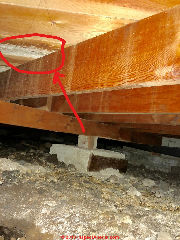 White mold growth under floor over wet crawl area - prior leaks (C) Inspectapedia.com Crhis