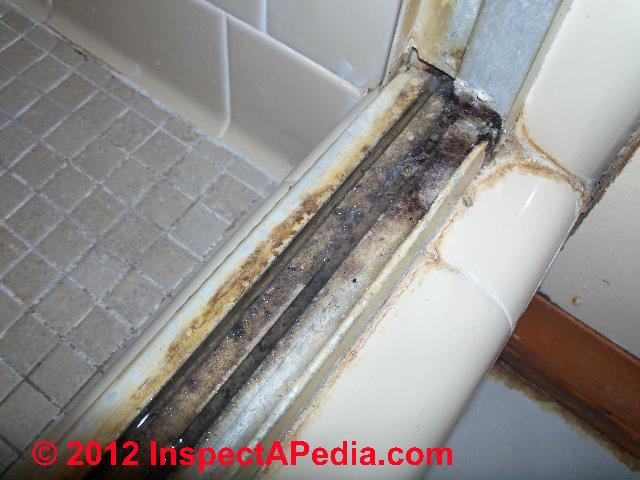 Bathroom Mold Mold In Bathrooms On Tile And Other Surfaces