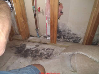 Possible leaky water pipe or water entry on slab traced to moldy drywall & carpet (C) InspectApedia.com Tammy