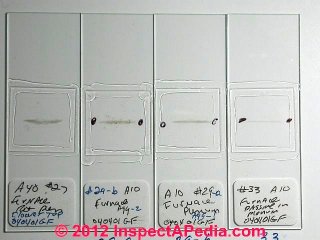 Air test for mold, particle trace variation (C) Daniel Friedman