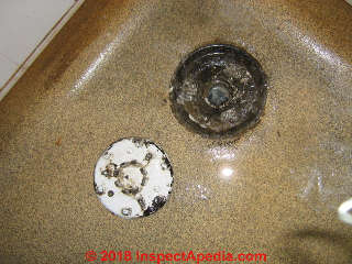 Algae and mold on UK plumbing drain and cover (C) InspectApedia.com Marks M
