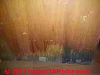 Mold-suspect water leak stained wall in apartment under tenant-landlord dispute (C) InspectApedia.com