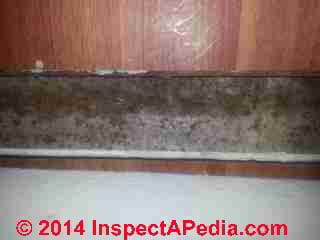 Apartment mold study photos include signs of leak history (C) InspectApedia DC