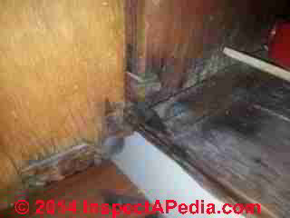 Apartment mold study photos include signs of leak history (C) InspectApedia DC