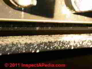 Photo of mold on kitchen appliances(C) Daniel Friedman