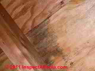 Photo of mold on plywood roof sheathing, brown - attic  (C) Daniel Friedman