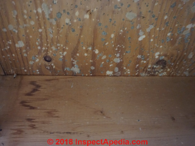 Basement Mold How To Find Test For Mold In Basements A