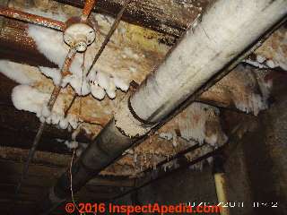 Mold contamination © D Friedman at InspectApedia.com 