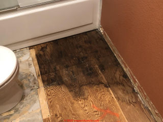 Water stains and mold remains on plywood subflooring in a bathroom (C) InspectApedia.com Jona