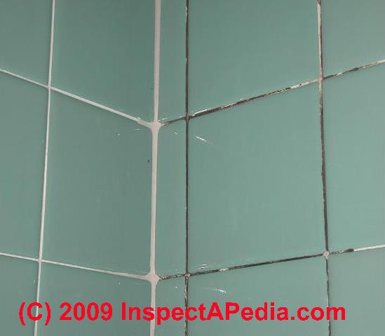 Bathroom Mold Mold In Bathrooms On Tile And Other Surfaces Bathroom Mold Detection Testing Mold Cleanup Bathroom Mold Prevention Guide