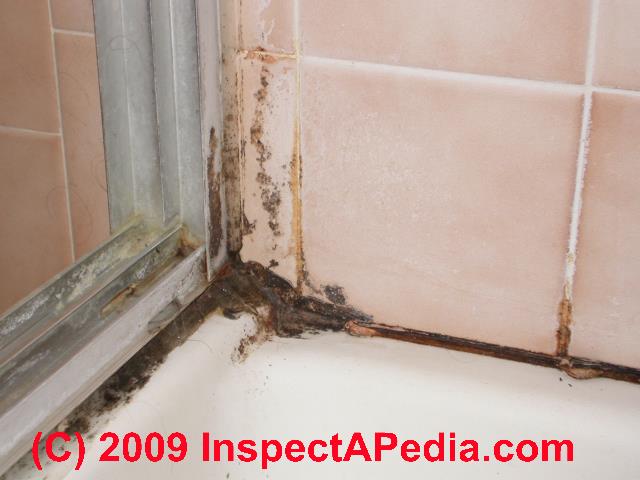 mold bathroom grout removal tile tiles growing caulk mildew remove bathrooms vs tub alternaria growth clean prevent brown wood trim