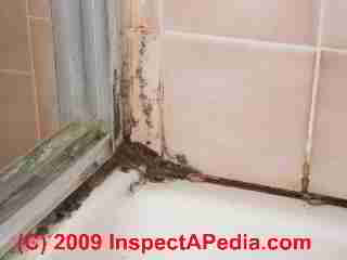 Black & brown mold on tub and tile grout and caulk in a bathroom (C) Daniel Friedman