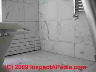 Marble wall mold in a bathroom (C) Daniel Friedman