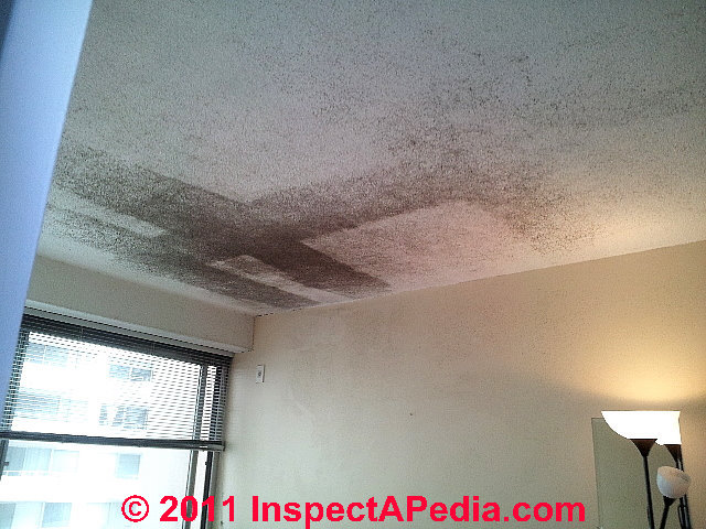 Ceiling Stains Are Ceiling Stains Mold How To Recognize