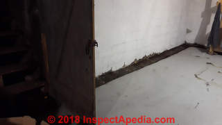 Apparent dark mold growing in basement perimeter drain trench on painted concrete block (C) InspectApedia.com Mom-of-4