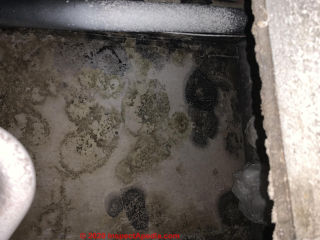 Classic mold colonies - roundish green, gray, black mold contamination (C) InspectApedia.com Kylie