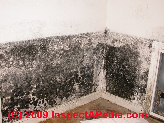 What does black mold look like toxic black mold growth Black mold in bedroom
