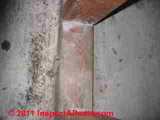 Photo of mold on drywall and wood surfaces that had previously been bleached (C) Daniel Friedman