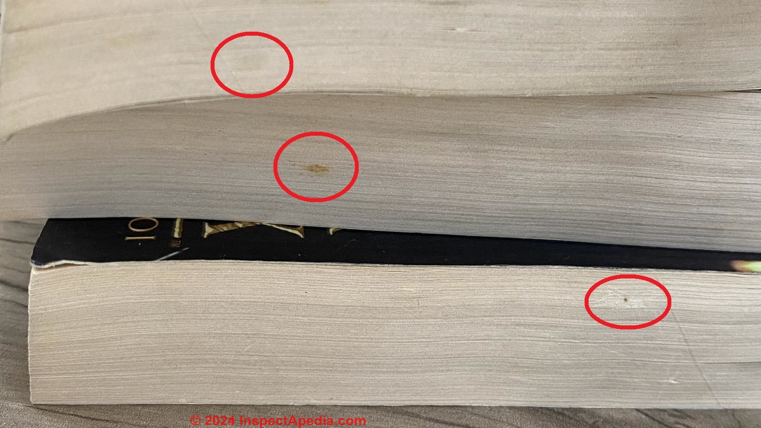 Stains on the edges of book papers - is this mold?  - (C) InspectApedia.com Riou 