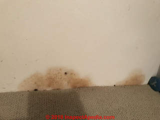 Brown spots on wall probably mold (C) InspectApedia.com Perry