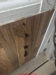 Brown hairy Stemonitis-like mold growth on wood paneling indoors (C) InspectApedia.com Linda